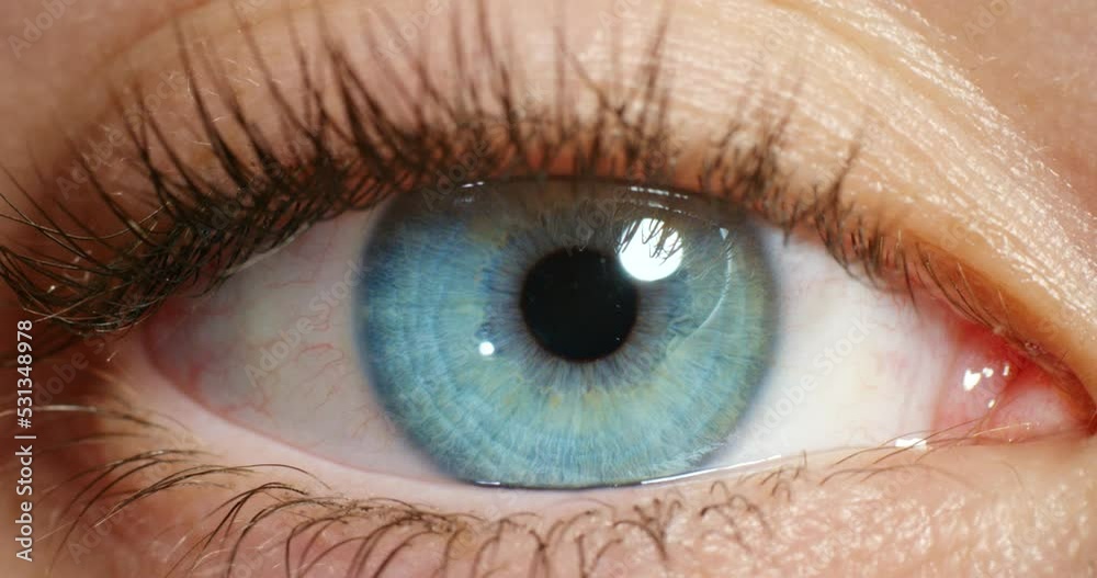 Vision, blue eye and macro of awake person looking with beautiful and natural beauty iris color. Closeup of healthy, isolated and stunning eyes of a person with moving pupil at optometry test.