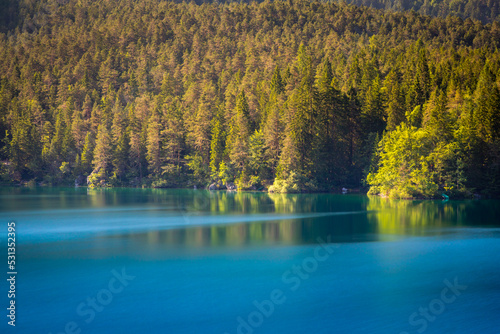 Lake Tovel and pine woodland in Trentino-Alto Adige  Dolomites  Italy