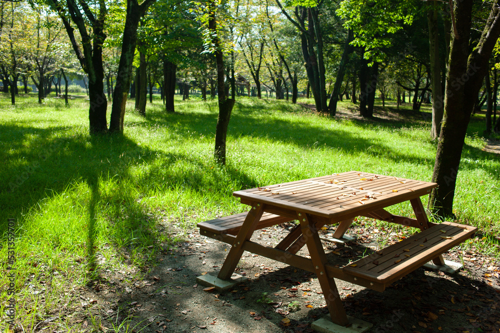 Park table