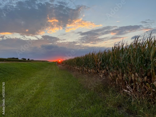 Beautiful Country Sunset