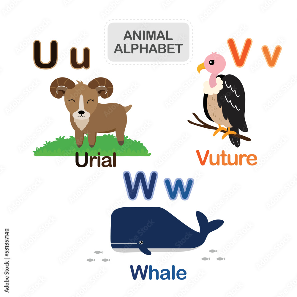Cute animal alphabet from Letter U to W Cute animal alphabet from Letter U to W