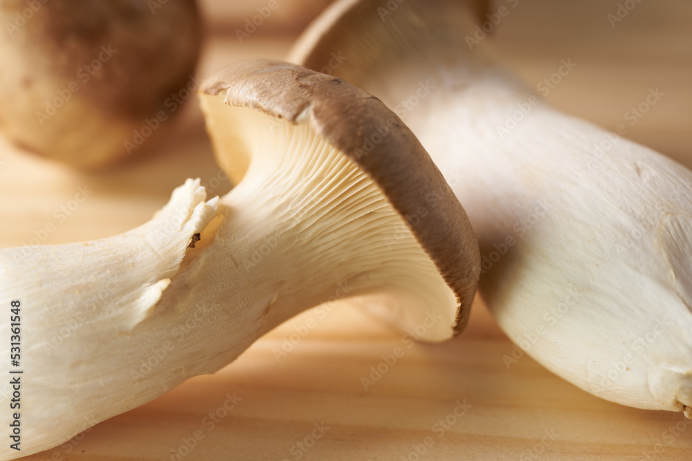 Fototapeta premium きのこ イメージ