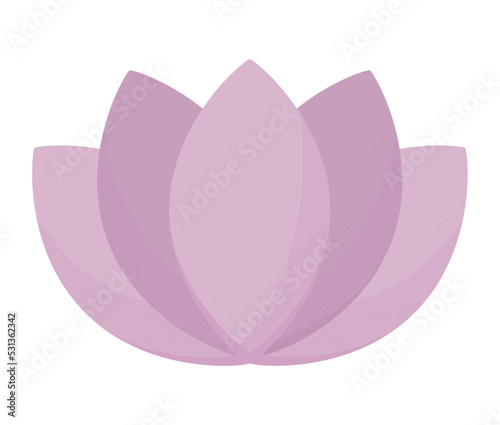 purple lotus design