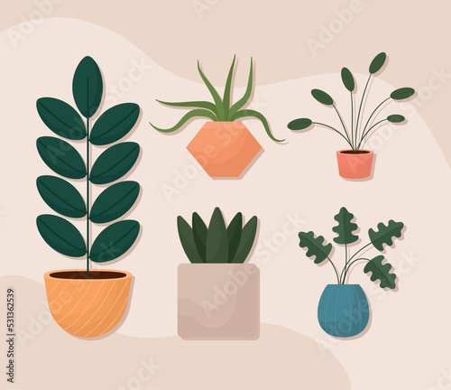 five potted plants