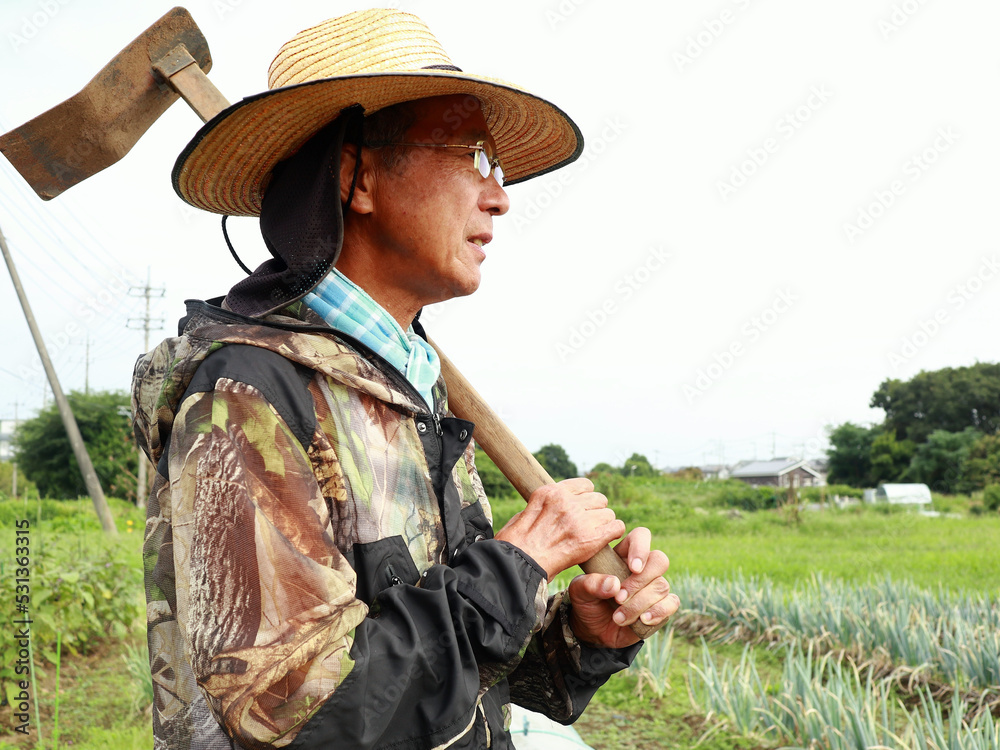 Fototapeta premium 農作業のシニア男性