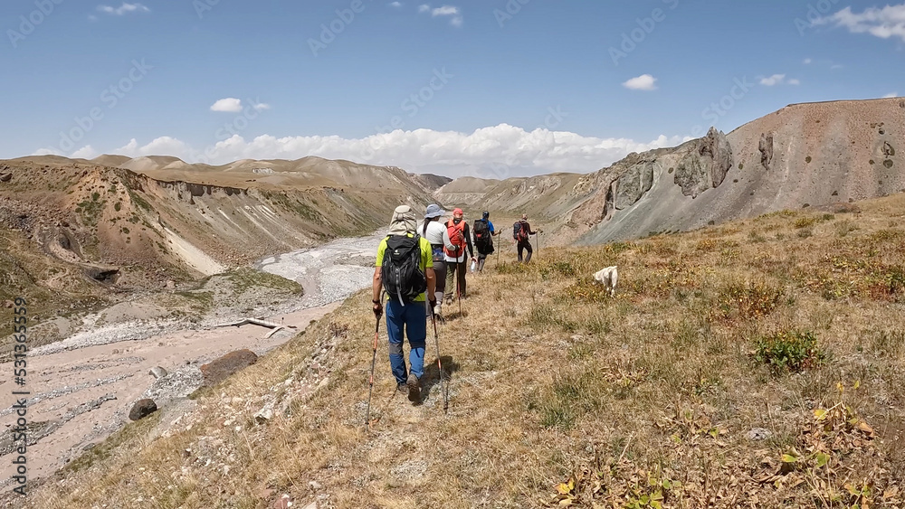 Five tourists walk along the green hills at the foot of Lenin Peak. View from the back. Beautiful summer mountain landscape.