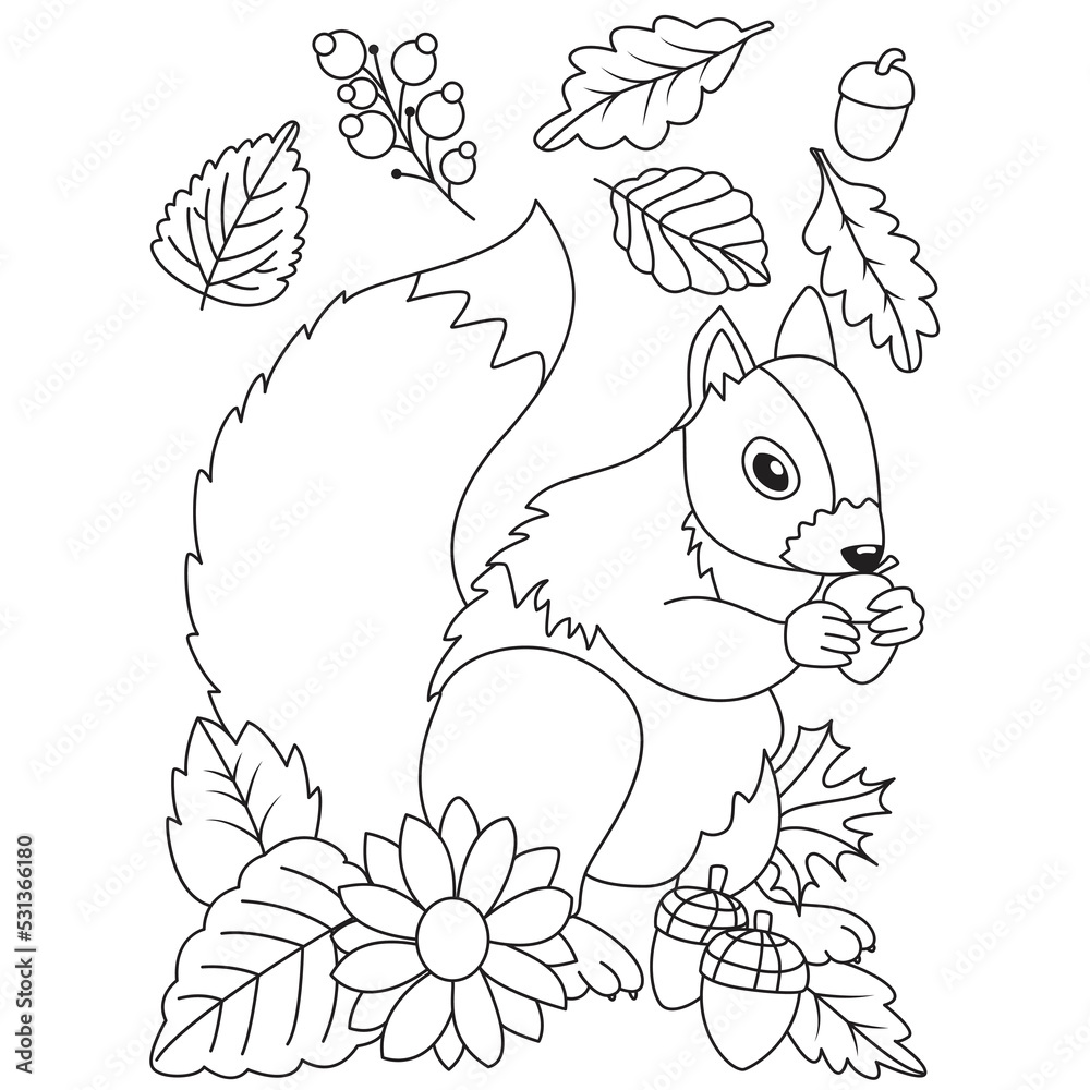 Fototapeta premium Cute squirrel eating acorns seeds flowers leaves Autumn Fall season coloring illustration pages