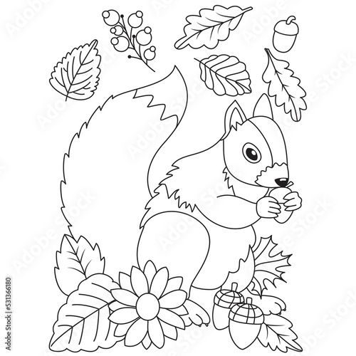 Cute squirrel eating acorns seeds flowers leaves Autumn Fall season coloring illustration pages