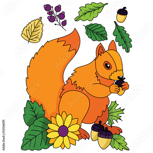 Cute squirrel eating acorns seeds flowers leaves Autumn Fall season coloring illustration pages
