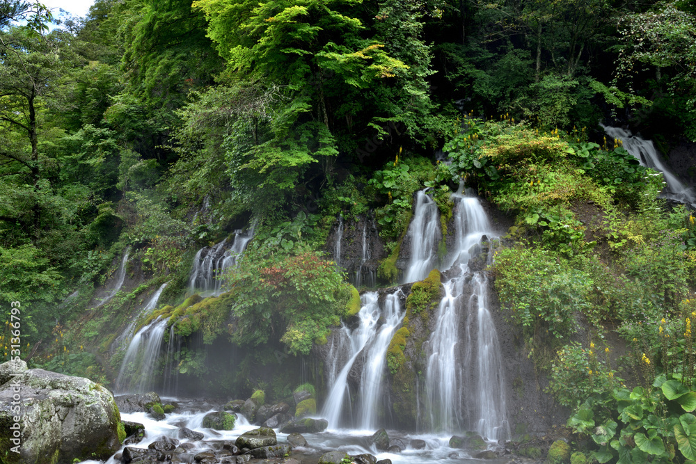 山梨・清里の名瀑　吐竜の滝