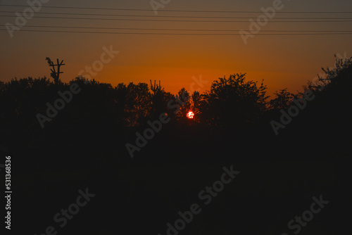 Sunset in countryside in Europe village  black silhouette of bushes and trees  sundown  late evening  early night  summer