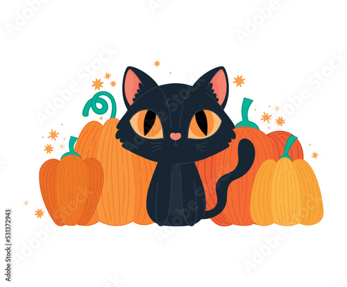 halloween cat with pumpkins