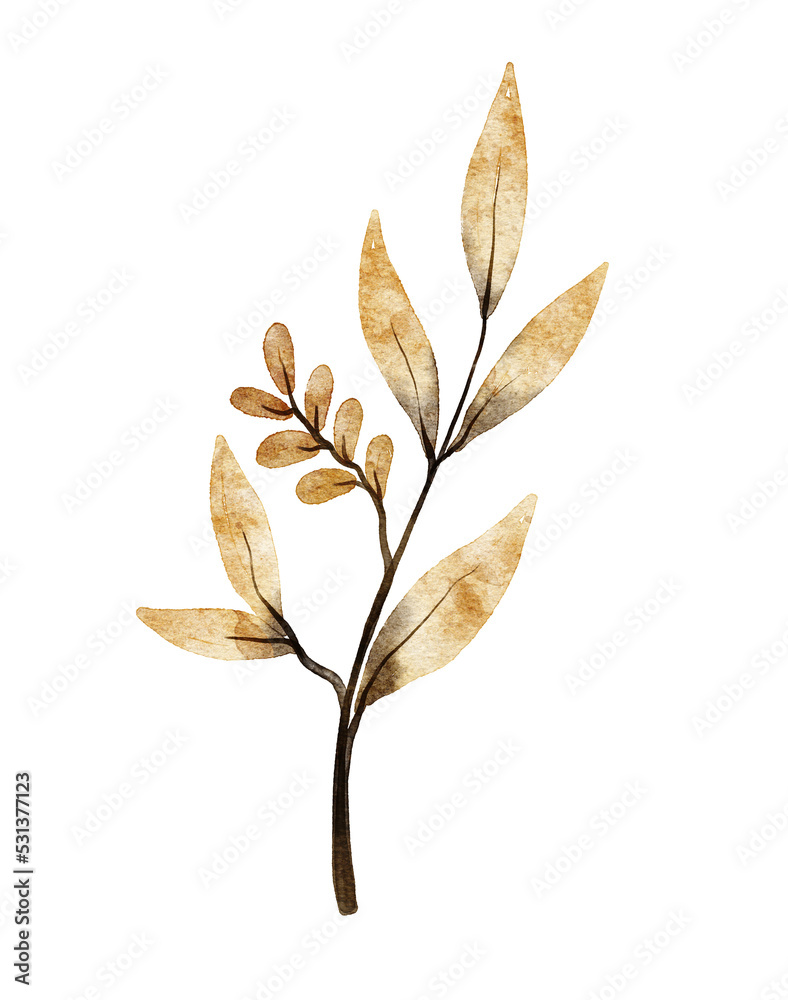 Obraz premium Watercolor leaf illustration 