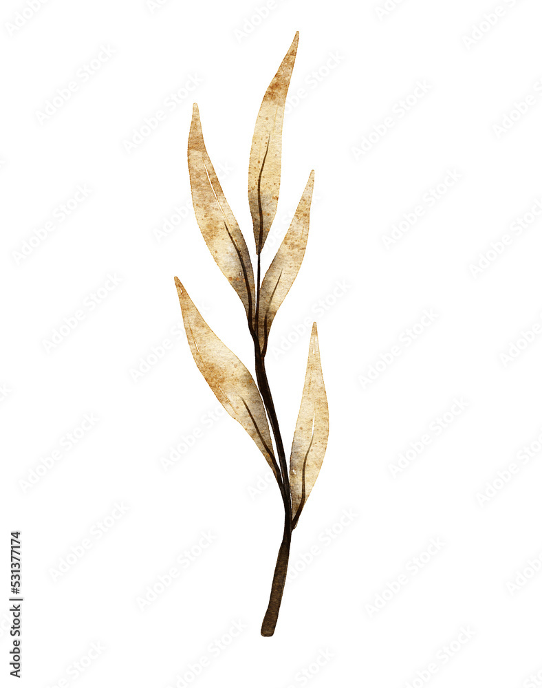Watercolor leaf illustration Watercolor leaf illustration