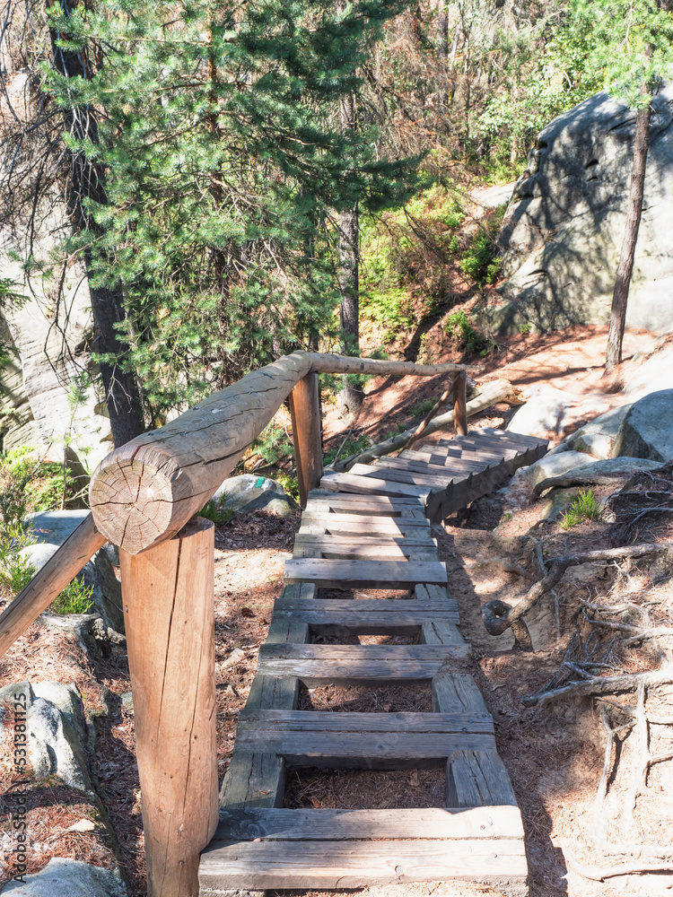 Wooden ladder on trail in Mount Ostas reserve in Table Mountains, Wooden ladder on trail in Mount Ostas reserve in Table Mountains,
