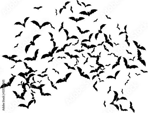 Bat swarm. Flying bat silhouette. Halloween Decoration element.