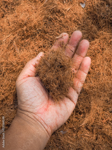 Top view of farmer hand holding coconut coir background, Hands ecology environment