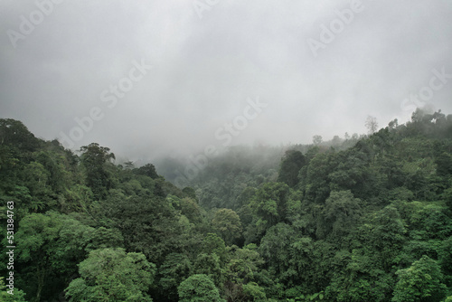 Fog over gern jungle - Bali © Hanjin