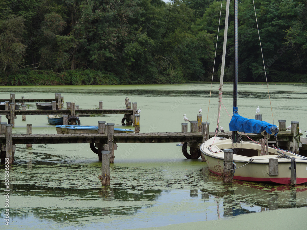 Obraz premium Spätsommer am Proöbstingsee in Borken