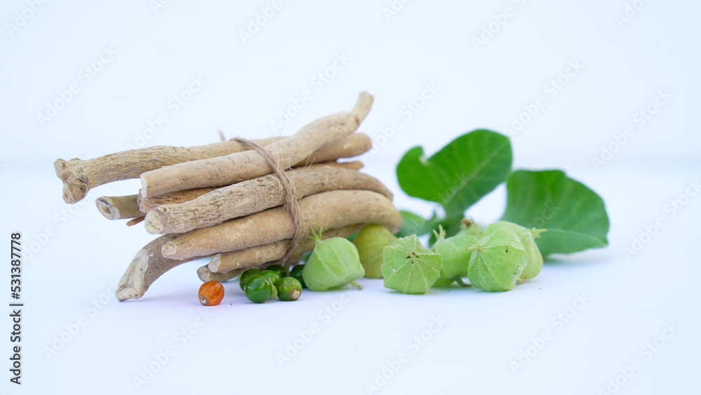 Commonly known as Ashwagandha (winter cherry), is an important