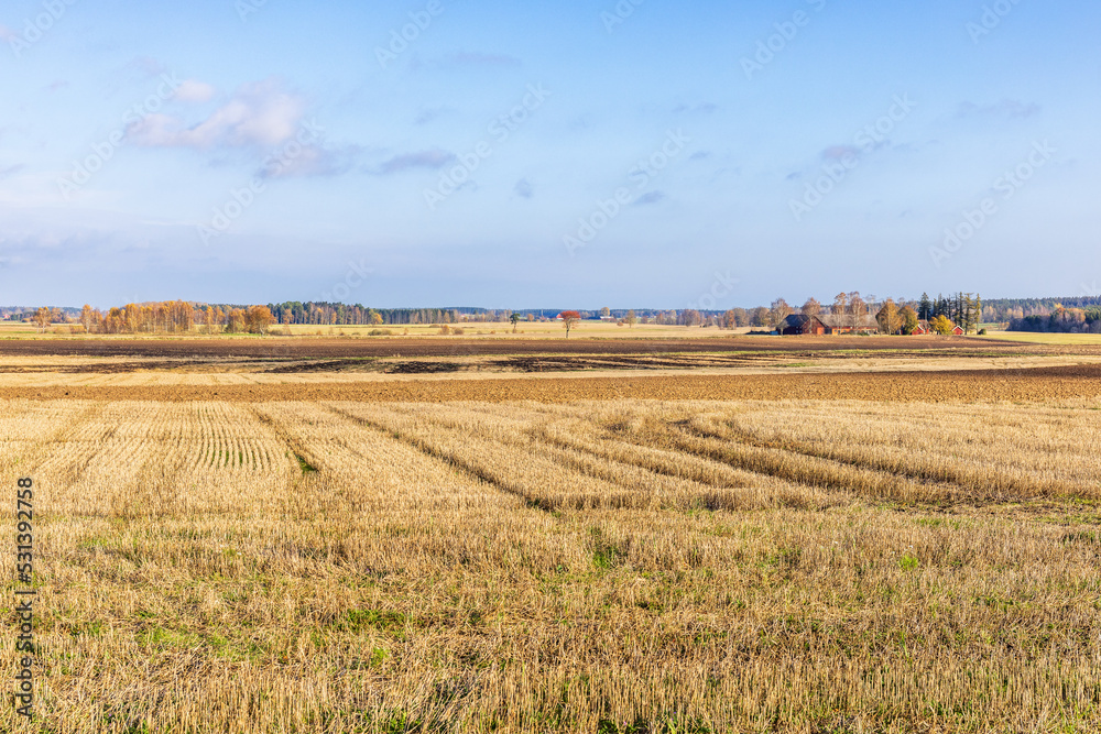 Landscape view at stubble field