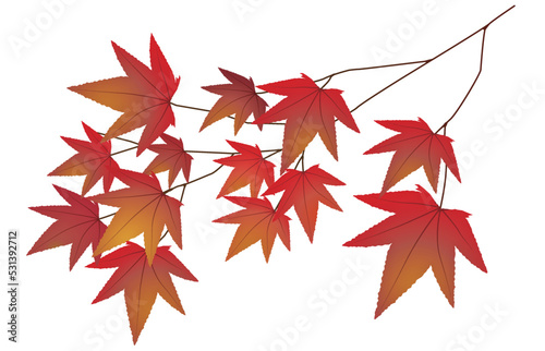 紅葉のイラスト