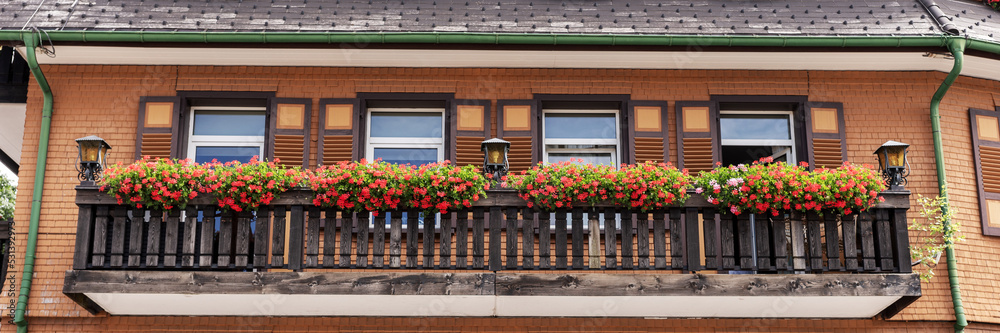 Long balcony decorated with beautiful blooming potted plants on sunny day. Panorama