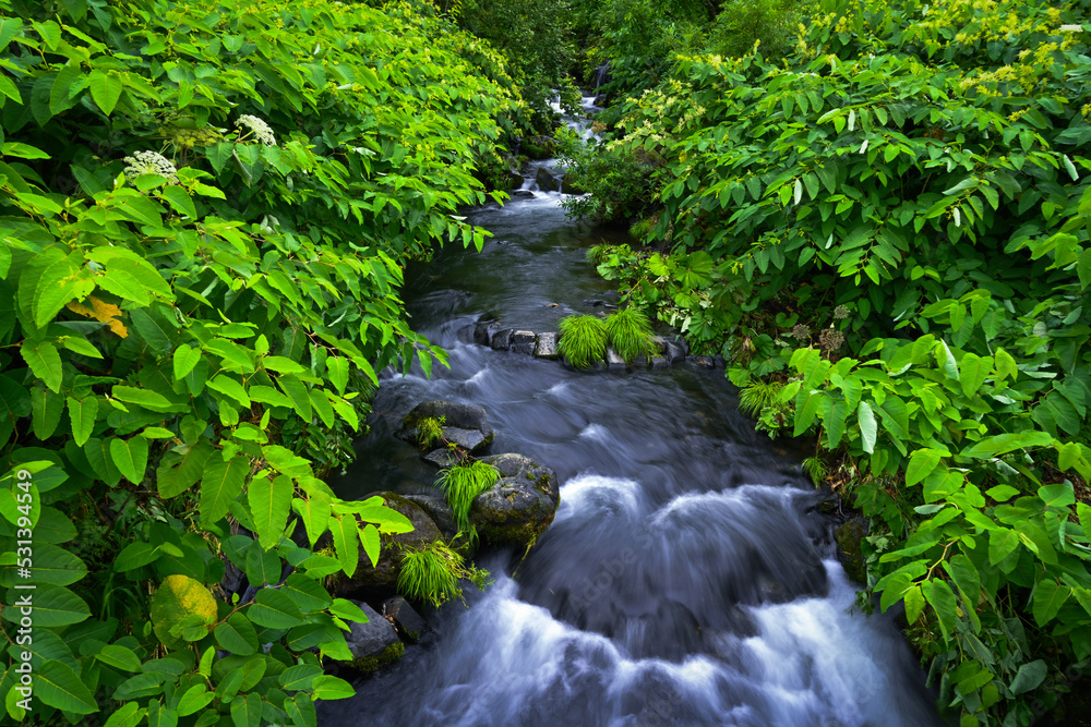 勇駒別川(北海道 大雪山 旭岳)clear stream of Yukomanbetsu river 勇駒別川(北海道 大雪山 旭岳)clear stream of Yukomanbetsu river