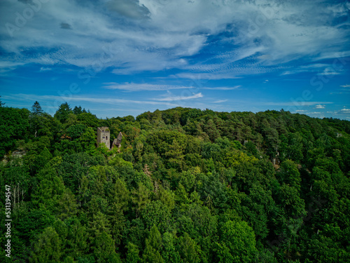 Old castle in forest