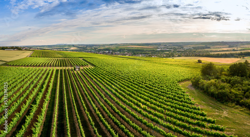 Aerial / Drone panorama of vineyard and agricultural fields in Rheinhessen Germany close to Nieder-Olm with setting sun  © Tobias