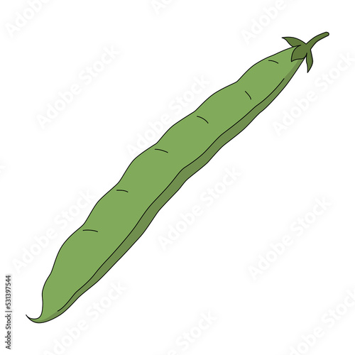 A bean pod in cartoon style. Vector illustration of phaseolus vulgaris isolated on a white background
