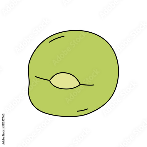 Vector illustration of pea seed isolated on white background. Cartoon style