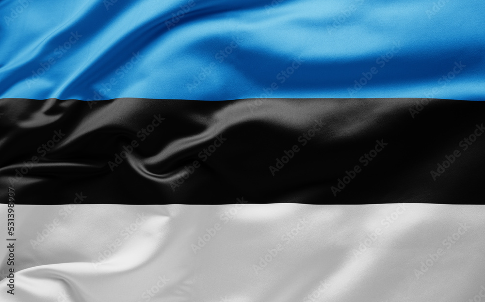  Waving national flag of Estonia