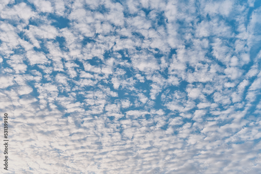 Texture of altocumulus fluffy clouds illuminated by sunlight on blue sky