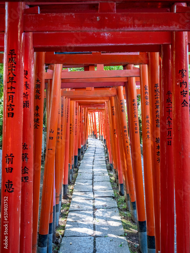 Tunnel of Torii gates in a shinto shrine in Tokyo, Japan