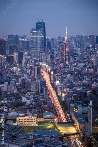 Night view from the the sky of the city skyline of Tokyo in Japan