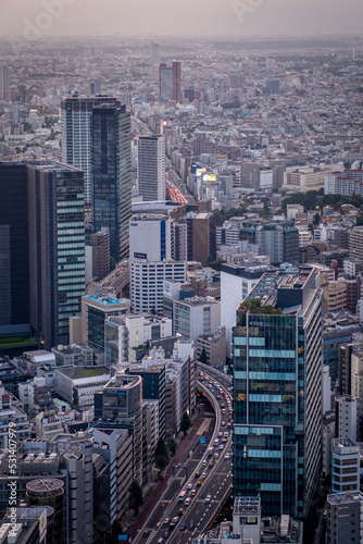 aerial view of the urban architecture of Tokyo from the sky