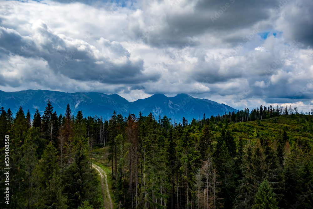 View of the Belianske Tatras from the observation tower in Bachledova valley in Slovakia