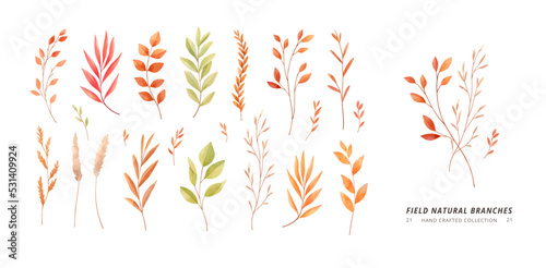 Hand drawn vector watercolor illustrations. Botanical clipart ( leaves, flowers, herbs, branches). Dry florals. Autumn Floral Design elements. Perfect for wedding invitations, cards, prints