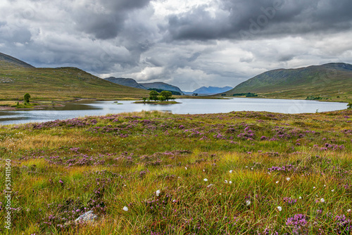 Scottish Loch with Purple Heather