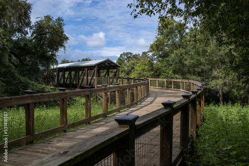 Принти на полотні Hiking Trail Pedestrian Canopy Bridge with Trees and Sky