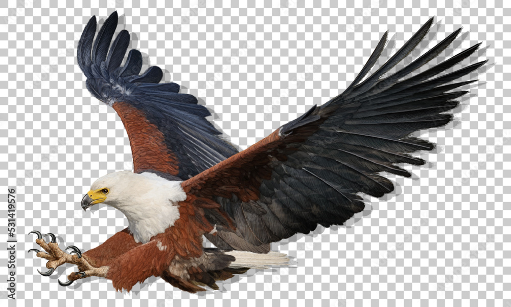 Obraz premium Realistic African Fish Eagle swoop attack hand drawn and paint color on checkered pattern background vector