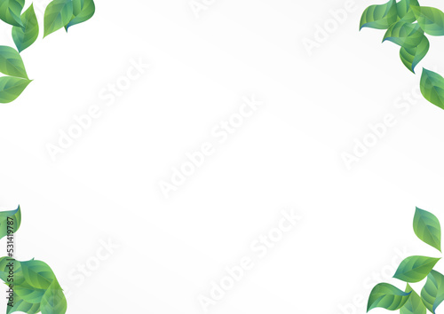 Mint Leaf Wind Vector White Background Pattern.