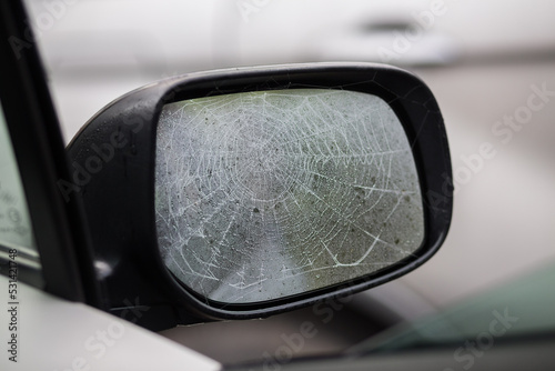 Cobwebs on the car mirror in the rain