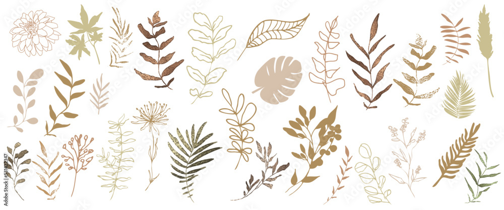 Hand drawn colorful plant set - universally usable. Botanical, chic and trendy plants. Hand drawn lines, elegant leaves for your own design. Flower branch and minimalistic modern plants. Hand drawn colorful plant set - universally usable. Botanical, chic and trendy plants. Hand drawn lines, elegant leaves for your own design. Flower branch and minimalistic modern plants.