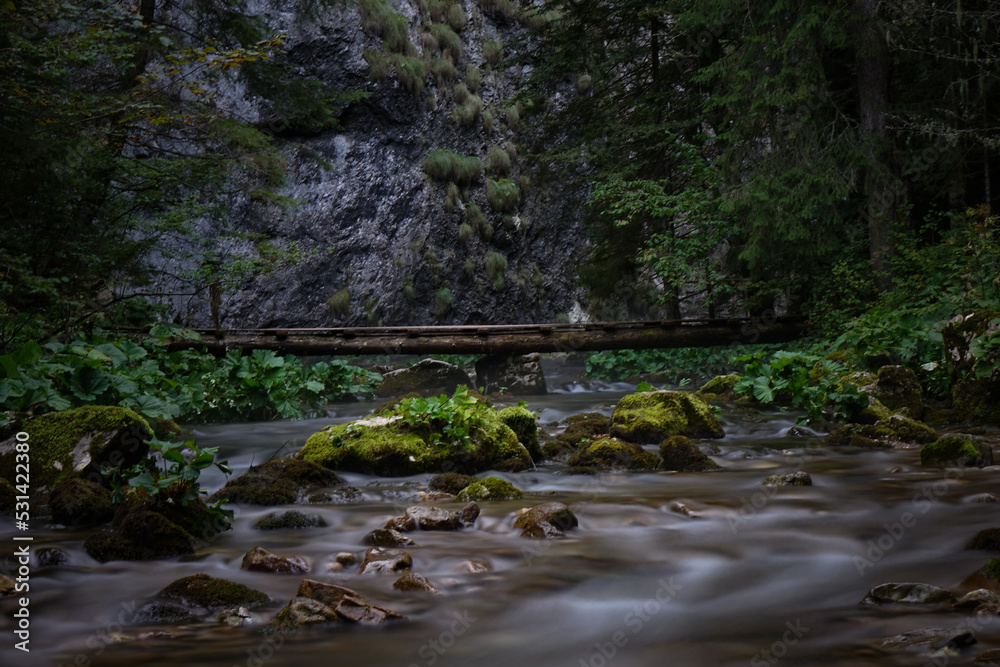 Landscape with a bridge over the river in the forest in the Apuseni Mountains. (Transylvania, Romania)
Landscape with a bridge over the river in the forest in the Apuseni Mountains. (Transylvania, Romania)