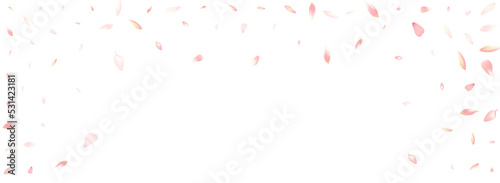 Pastel Flower Petal Vector White Background.