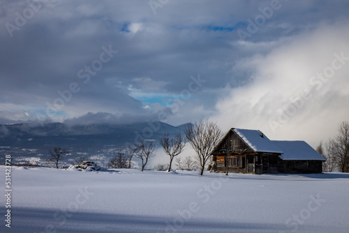 Landscape with the traditional house in the cloud and snow from Maramures. (Transylvania, Romania)  © AlexandruClaudiu