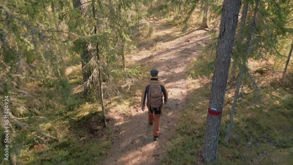 A hiking caucasian man in the sunny forest. Drone follows and evades tree branches. A hiking caucasian man in the sunny forest. Drone follows and evades tree branches.