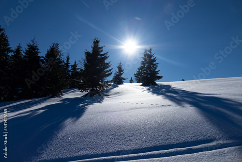 Winter mountain landscape from Maramures. (Transylvania, Romania) © AlexandruClaudiu